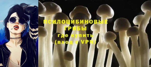 гидра Навашино
