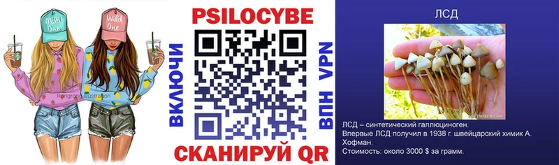 Галлюциногенные грибы GOLDEN TEACHER  Купить  Мышкин 